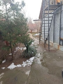 Ташкентская область, Алмалык