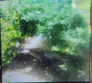 Ташкентская область, Мирабад