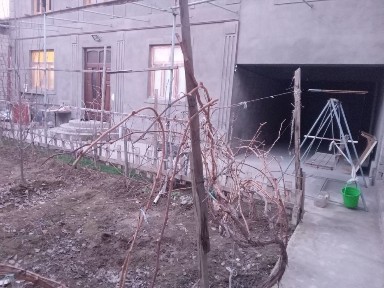 Ташкентская область, Ташкент, Сергелийский район