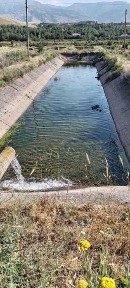 Хозяйство рыбное в Бахмальском районе Джиззакской области