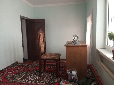 Ташкентская область, Чиназ