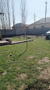 To‘ytepada joylashgan uy