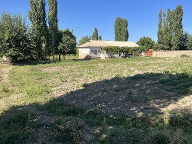 Ташкентская область, Алмалык
