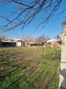 Uy uchastka hovli