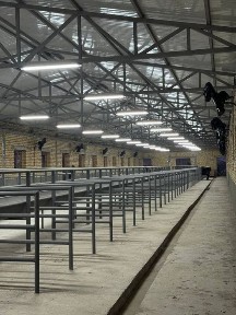 Животноводческая ферма на продажу