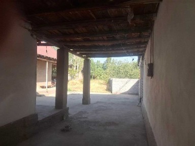 Ташкентская область, Янгибазар