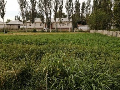 Уй сотилади катта хонадон