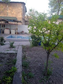 3.5sotok basen bor xomom bor oshxona