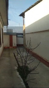 Ташкентская область, Ташкент, Сергелийский район