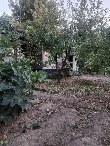 Ташкентская область, Чирчик