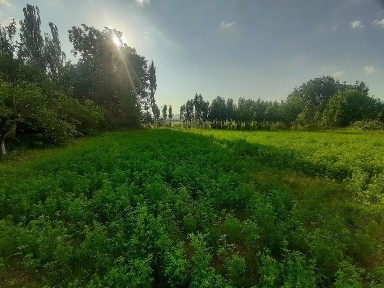 Участка сотилади 6 сотух қуруқ жой дача қурушка қулай жой