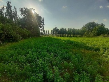 Участка сотилади 6 сотух қуруқ жой дача қурушка қулай жой
