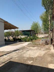 Yangi ozbekiston bogi Mirzo ulugbek 8 st