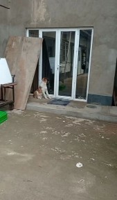 Аренда под склад, производственный цех