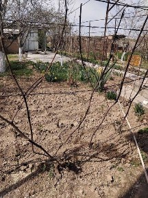 (М) Дача 18 соток с домом 80 м² у реки Ангрен | Прописка