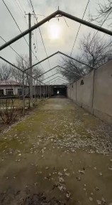 Ташкентская область, Ташкент, Бектемирский район