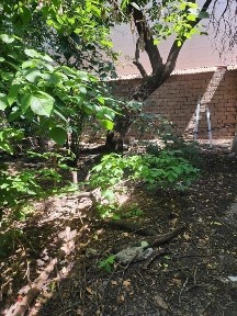 Ташкентская область, Ташкент, Яккасарайский район