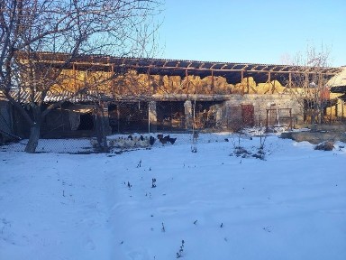 Ташкентская область, Ташкент, Сергелийский район