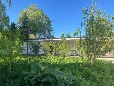 Срочно! Продам дачу недалеко от города / Dacha sotiladi