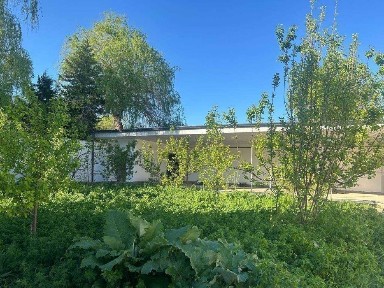 Срочно! Продам дачу недалеко от города / Dacha sotiladi