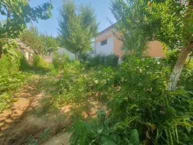 SROCHNA Namunali KOTTEJ, 6 SOTIX, 4 xona, 2017 y. Sotiladi.