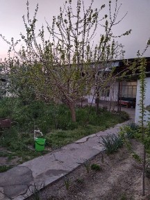 Ташкентская область, Келес