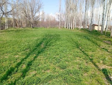 Без маклер уй участка