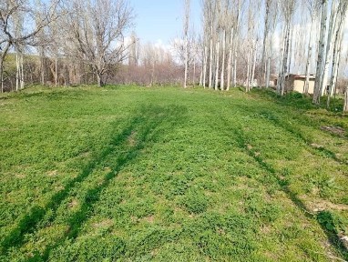 Без маклер уй участка