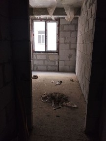 Бухарская область, Бухара
