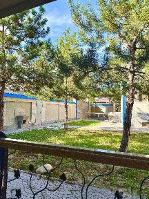 Сдается в аренду дом, Участок