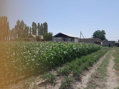 Ташкентская область, Ташкент, Бектемирский район