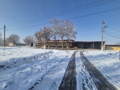 Ташкентская область, Бука