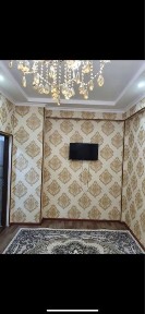 kriti ijraga beriladi критий 250$ boliwi