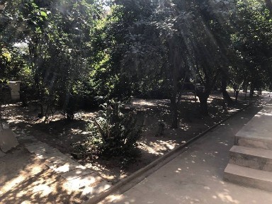 Участка Йенгитошми 6 сотик
