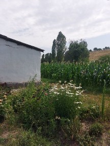 Продается дом пос. Аидаралы