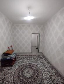 Kvartira ijaraga yosh oilaga sheriklikka