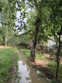 Ташкентская область, Чирчик