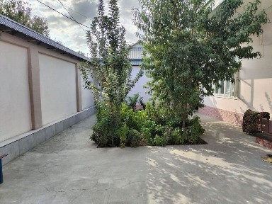 Продаю участок Янгихаёт Туркво