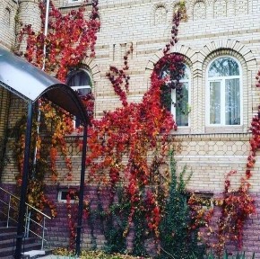 Ташкентская область, Ташкент, Мирзо-Улугбекский район