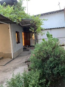 Sebzorda hovli sotiladi srochna.