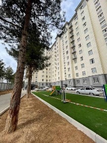 Срочно! Мирзо Улуғбек Қорасув 6