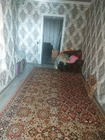 Arenda kvartira Algaritm 30 BOLLA QIZLA oylaga wariyga