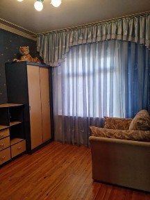 Сдается в аренду