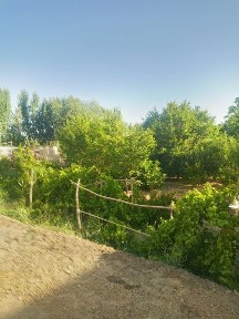 Продается участок в джондоре
