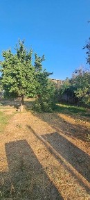 Продаётся дом участок 12соток.