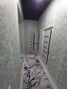 Тезда Моникада ижарага берилади