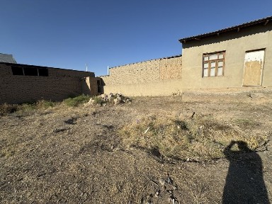 Farxod savxoz hovli