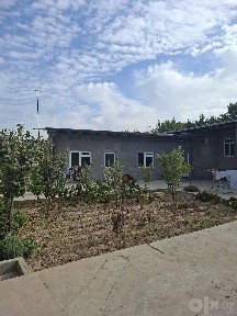 Uy sotiladi nazarbe tarnovda 5 sotix kalodis bor