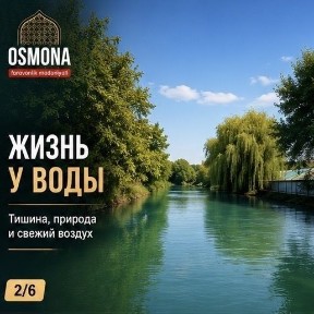Дом у реки в Кибрае (авторский проект)