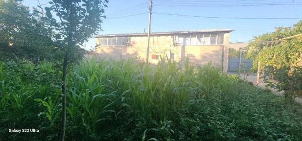 Тахта бозор томонга 10 сотыхли ховли жой йу.е. касида жойлашган